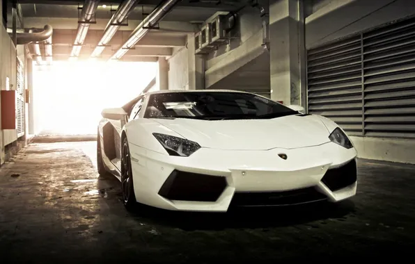 Lamborghini, суперкар, white, box, Aventador, гараж.