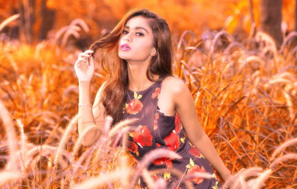 Поле, девушка, модель, азиатка, боке, Gita Priyanka