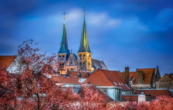 Картинка церковь, Нидерланды, Bergkerk, Saint Nicholas Church