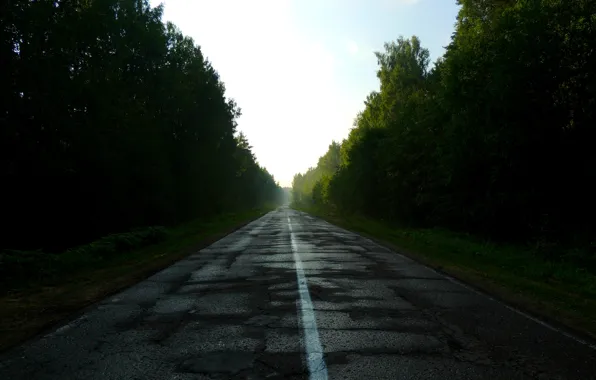 Картинка дорога, лес, природа