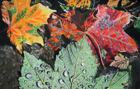 Листья, капли, листва, Осень, живопись