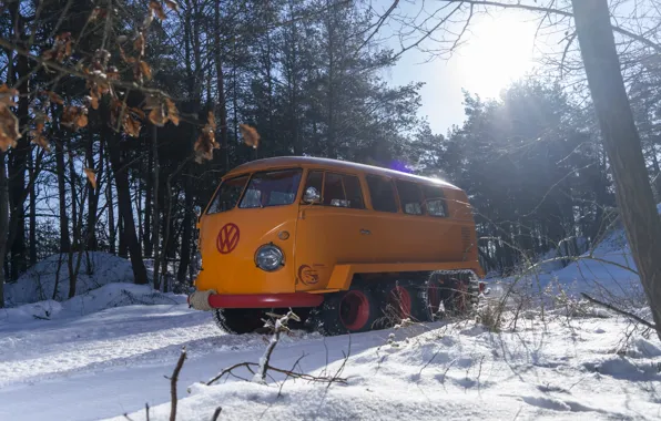 Зима, Деревья, Германия, Снег, Volkswagen, Austria, 1962, Полугусеничный