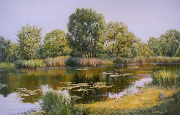 Картинка вода, деревья, пейзаж, отражение, берег, Картина, ряска, Утро на реке