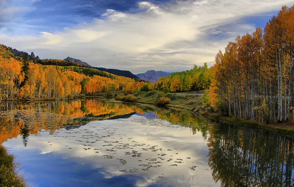 Картинка осень, облака, деревья, пейзаж, природа, время года