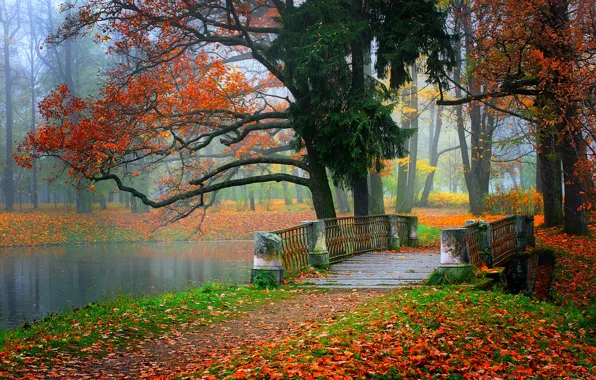 Осень, лес, небо, листья, вода, деревья, горы, природа
