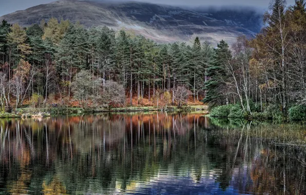 Лес, вода, деревья, горы, озеро, отражение, Шотландия, Glencoe Lochan