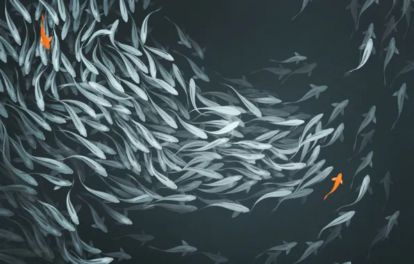 Вода, Минимализм, Пруд, Рыба, Стиль, Fish, Рыбки, Арт
