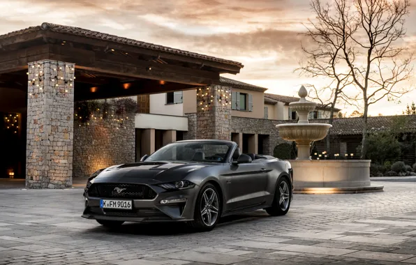 Дом, Ford, фонтан, кабриолет, 2018, тёмно-серый, Mustang GT 5.0 Convertible