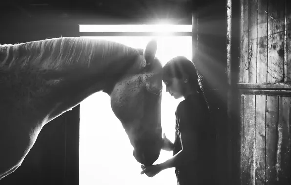 Картинка свет, лошадь, девочка, light, girl, horse, Alessandro Cereda
