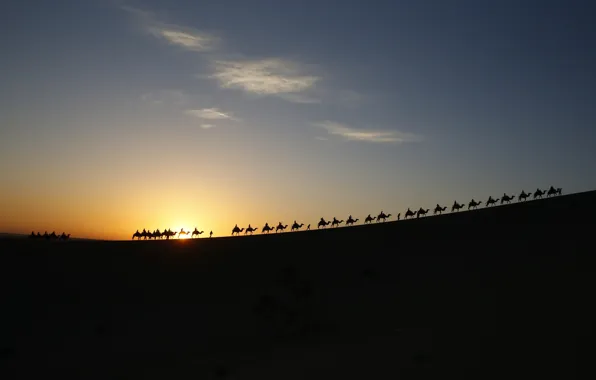 Картинка небо, солнце, облака, люди, пустыня, Караван, верблюды
