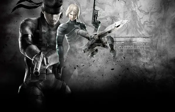 Wallpaper, Solid Snake, Raiden, Metal Gear Solid 2: Sons of Liberty, Metal Gear RAY