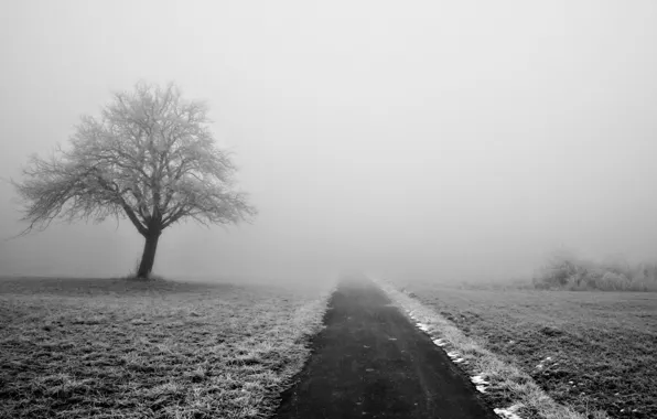 Картинка зима, дорога, снег, деревья, природа, туман