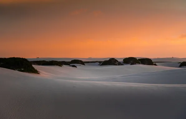 Картинка закат, горизонт, дюны, Бразилия, кусты, Мараньян, оранжевое небо