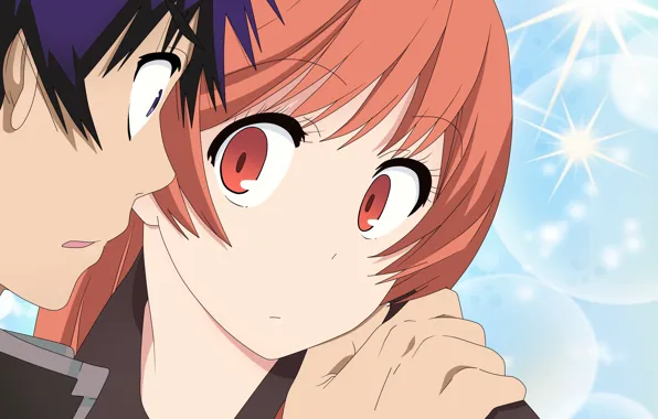 Девушка, Взгляд, арт, пара, парень, двое, Nisekoi, Притворная любовь
