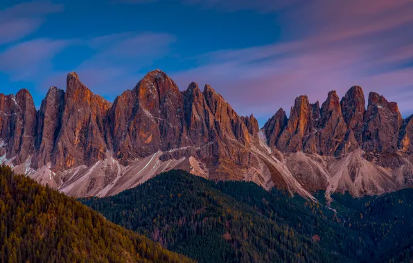 Лес, деревья, горы, скалы, Italy, Dolomites