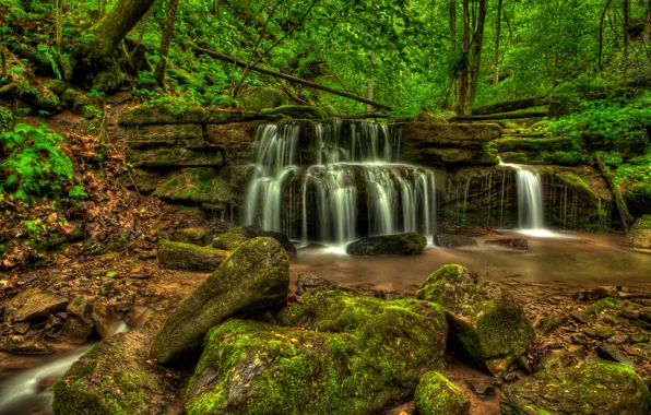 Картинка зелень, лес, деревья, ручей, камни, водопад, мох, США