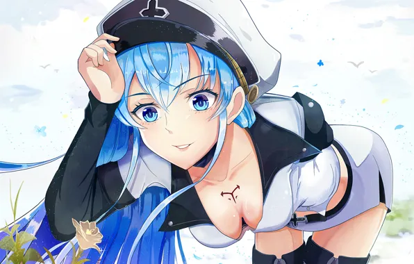 Девушка, anime, jaegers, Akame ga kill, убийца Акаме, Esdeath