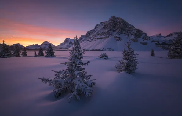 Картинка снег, горы, рассвет, утро, ели, Канада, Альберта, Banff National Park