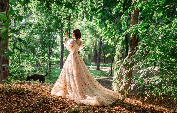 ЛЕС, ЛИСТЬЯ, ПЛАТЬЕ, ОСЕНЬ, ЛИСТВА, СОБАКА, Фотограф Георгий Дьяков