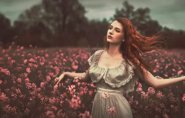 Картинка поле, цветы, боке, рыжеволосая девушка