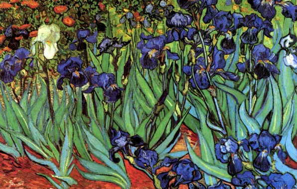 Картинка Винсент ван Гог, Irises, разные цветы