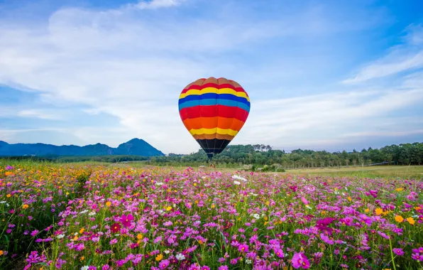 Картинка поле, лето, небо, солнце, цветы, воздушный шар, colorful, луг
