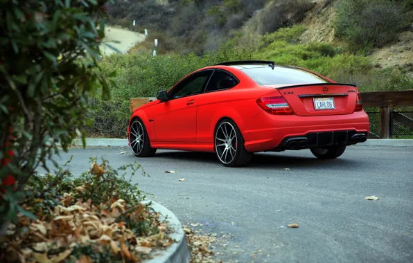 Картинка red, wheels, Mercedes Benz, AMG, C63, rearside