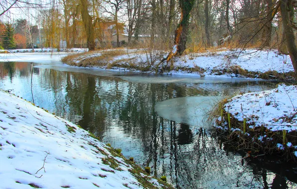 Ice, water, park, winter, pond