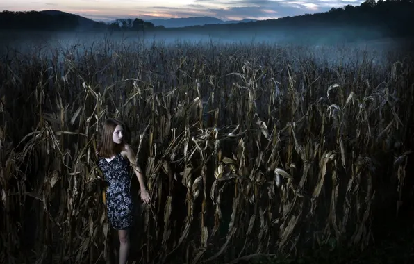 Картинка девушка, ночь, кукуруза