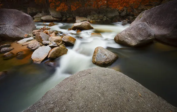 Лес, вода, природа, река, камни