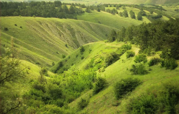 Зелень, склоны, Крым, возвышенности