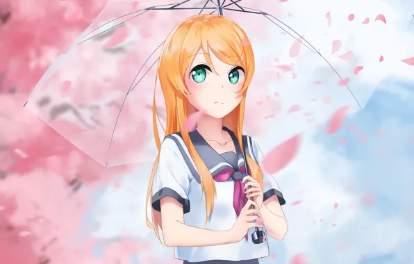 Девушка, зонт, Oreimo, Моя сестренка не может быть такой милой