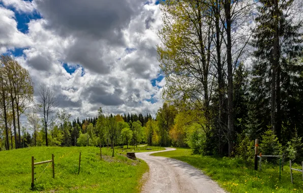 Картинка зелень, лето, трава, облака, green, дорожка, grass, clouds