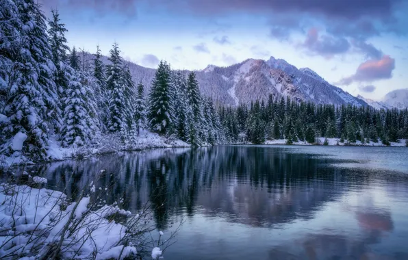 Картинка зима, лес, снег, пейзаж, горы, природа, озеро, красота