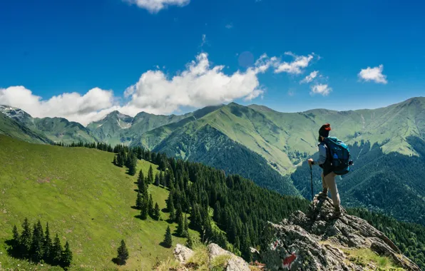 Картинка облака, деревья, горы, trees, mountains, луга, clouds, blue sky