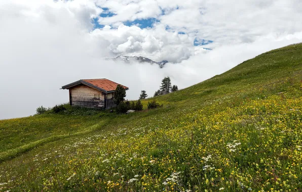 Пейзаж, горы, дома