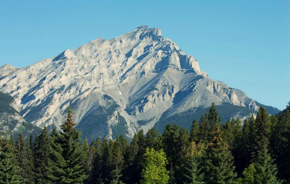 Лес, небо, Гора, mountain, Каскейд, Banff national park, Cascade