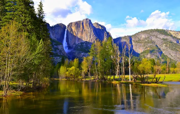 Картинка лес, деревья, горы, река, водопад, Калифорния, США, Yosemite National Park