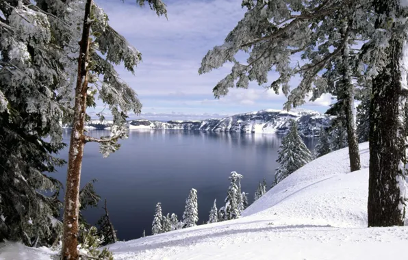 Картинка зима, лес, снег, деревья, озеро, холмы