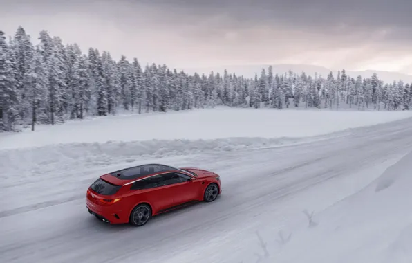 Зима, Concept, снег, деревья, скорость, KIA, Kia, универсал