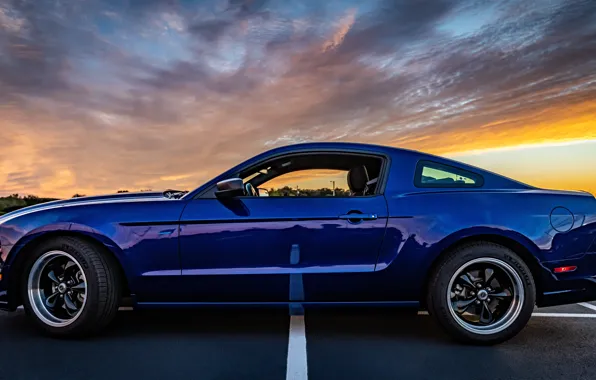 Вид сбоку, Muscle car, Pony Car, 2014 Ford Mustang