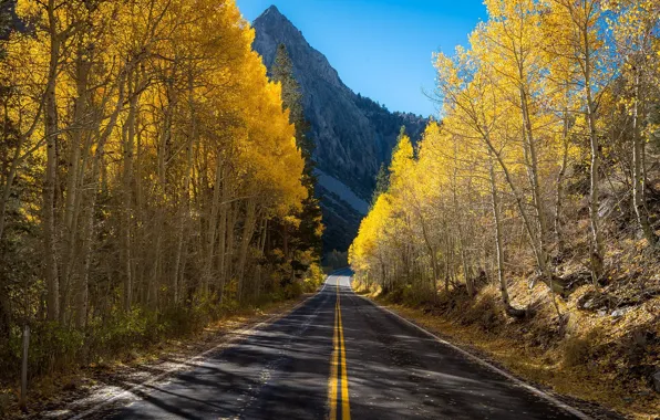 Картинка дорога, осень, гора, берёзы