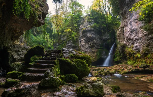 Картинка лес, небо, деревья, пейзаж, природа, скала, водопад, растения