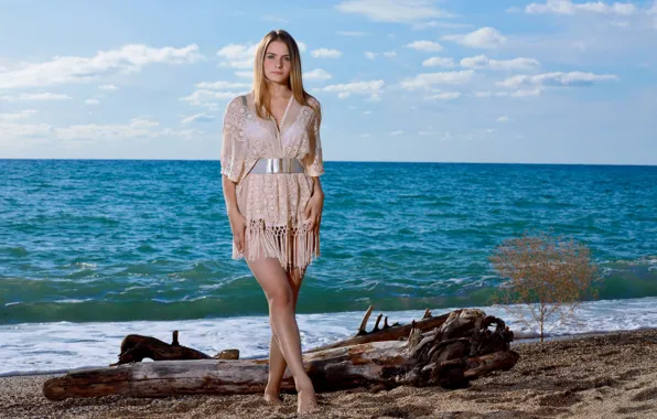 Model, Pose, driftwood, Seaside, met art, Dakota Pink