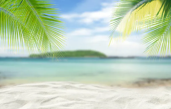 Песок, море, пляж, лето, небо, пальмы, summer, beach