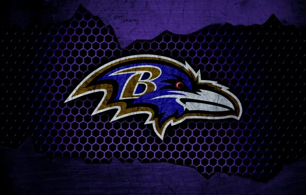 Wallpaper, sport, logo, NFL, american football, Baltimore Ravens