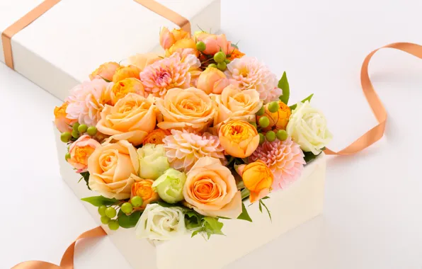 Коробка, подарок, нежный, Розы, Roses, gift, Георгины, Bouquets