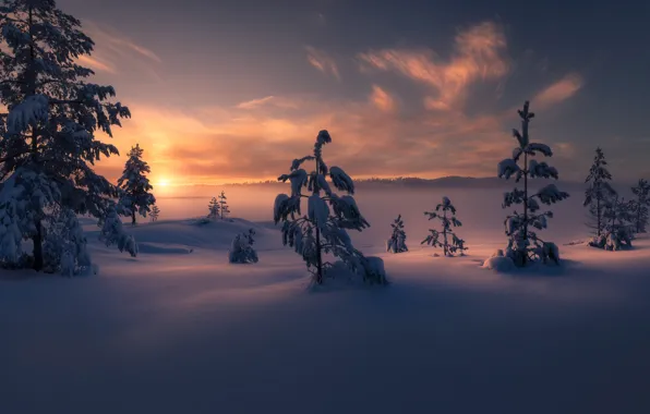Картинка зима, снег, деревья, закат, Норвегия, сугробы, Norway, Рингерике