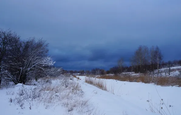 Field, winter, snow, cold, meadow