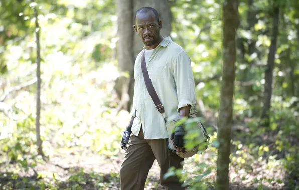 Картинка forest, Morgan, The Walking Dead